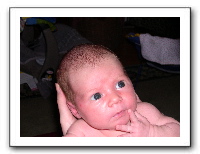 DSCN0178.JPG